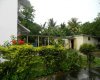 Clarks Town, St. Ann, ,House,For Sale,Clarks Town,1000